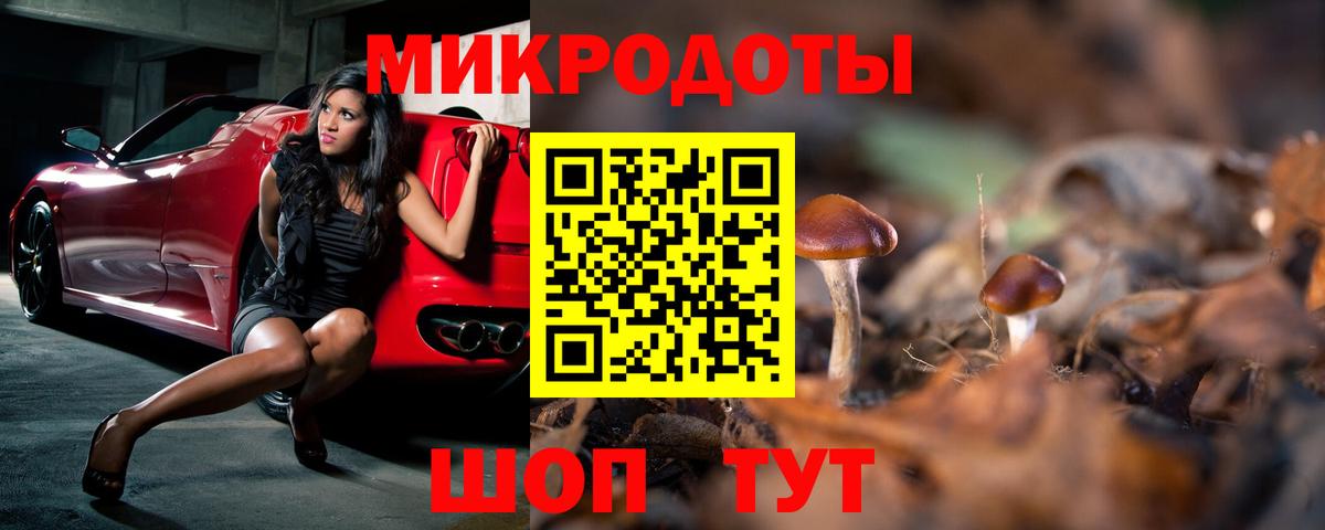 Псилоцибиновые грибы Psilocybe  Вход с VPN  Торжок  Псилоцибиновые грибы мицелий 