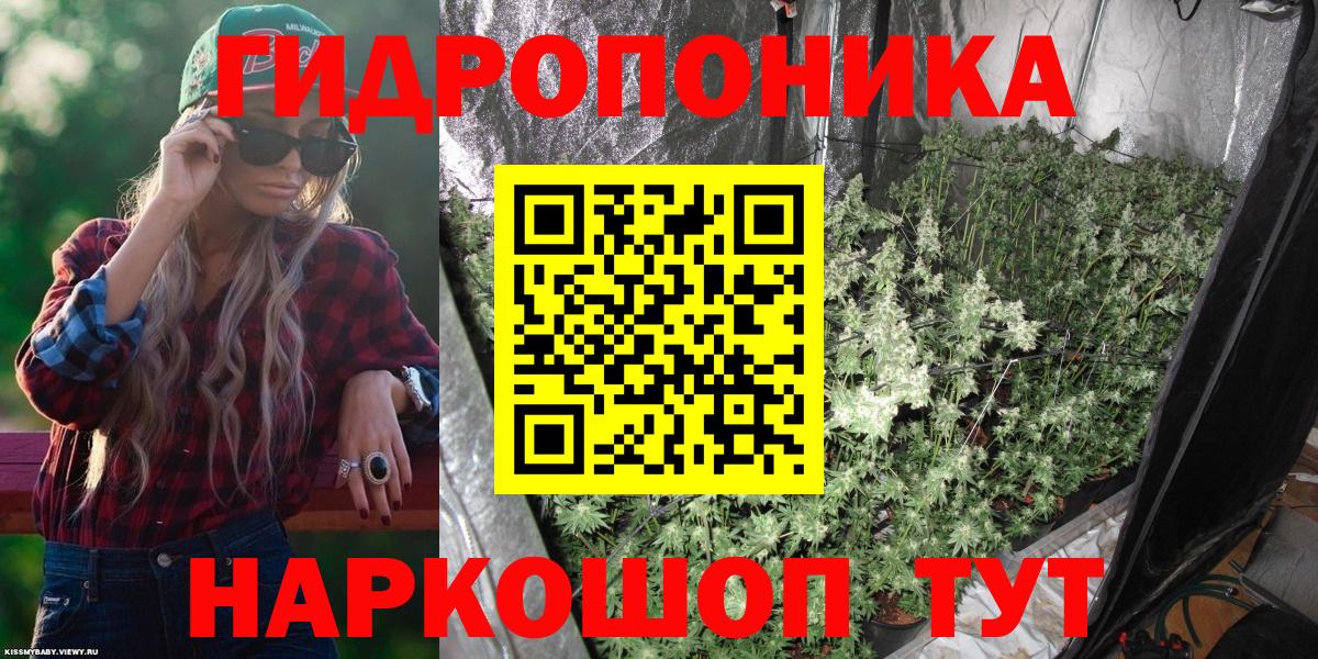Канабис конопля  Шишки марихуана Ganja  Вход с VPN  Торжок  Шишки марихуана план 